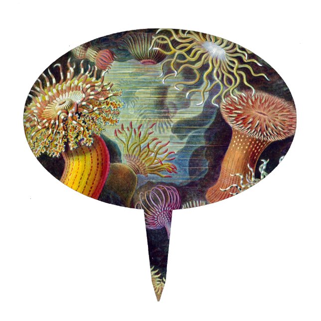 Sea Anemone Scientific Nature Ocean Cake Topper (Front)