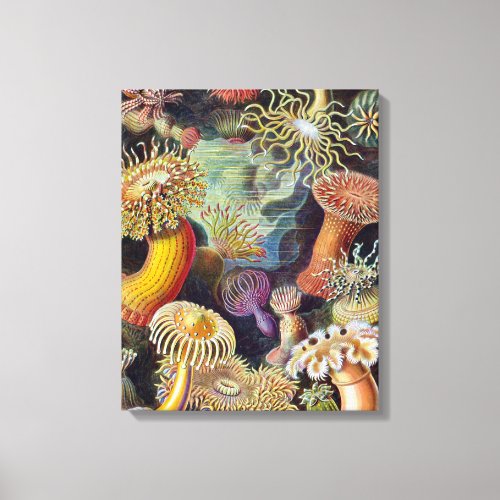 Sea Anemone Scientific Nature Ocean Canvas Print