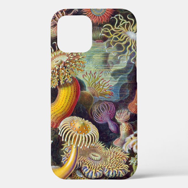 Sea Anemone Scientific Nature Ocean Case-Mate iPhone Case (Back)