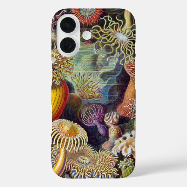 Sea Anemone Scientific Nature Ocean Case-Mate iPhone Case (Back)