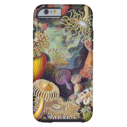 Sea Anemone Scientific Nature Ocean Tough iPhone 6 Case