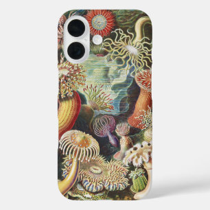 Sea Anemone Scientific Nature Ocean iPhone 16 Case