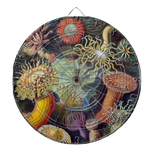 Sea Anemone Scientific Nature Ocean Dartboard