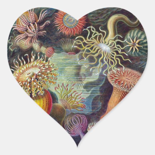 Sea Anemone Scientific Nature Ocean Heart Sticker