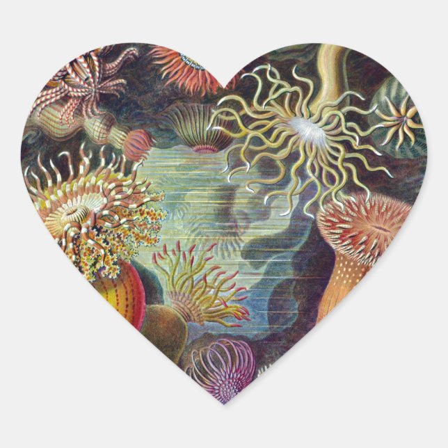 Sea Anemone Scientific Nature Ocean Heart Sticker (Front)