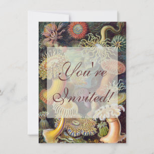 Sea Anemone Scientific Nature Ocean Invitation