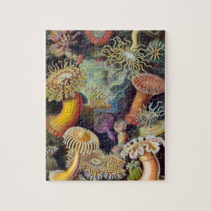 Sea Anemone Scientific Nature Ocean Jigsaw Puzzle
