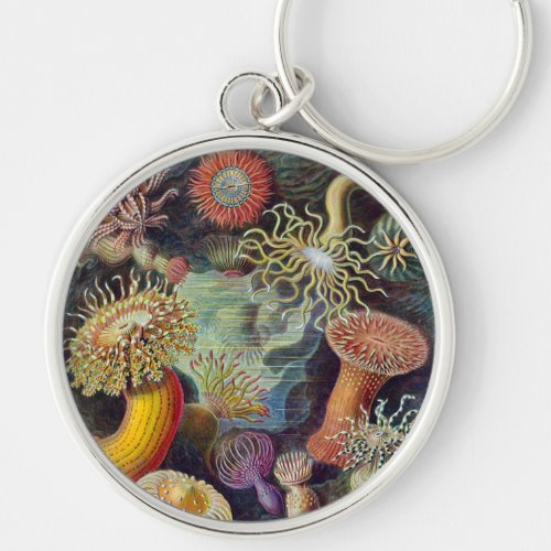 Sea Anemone Scientific Nature Ocean Keychain