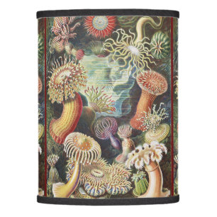Sea Anemone Scientific Nature Ocean Lamp Shade