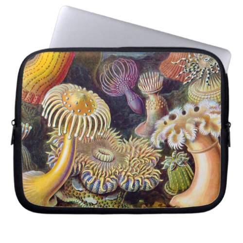 Sea Anemone Scientific Nature Ocean Laptop Sleeve