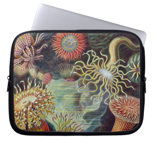 Sea Anemone Scientific Nature Ocean Laptop Sleeve