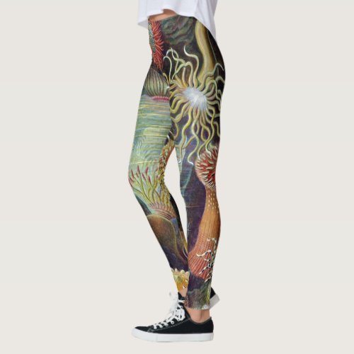 Sea Anemone Scientific Nature Ocean Leggings