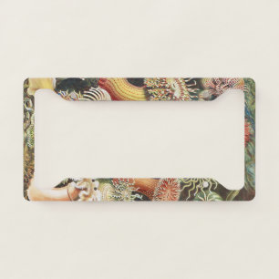 Sea Anemone Scientific Nature Ocean License Plate Frame