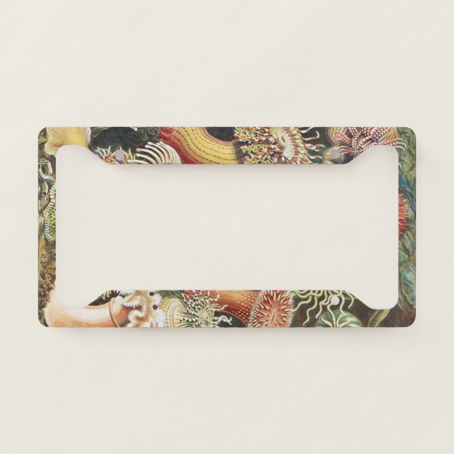 Sea Anemone Scientific Nature Ocean License Plate Frame (Front)