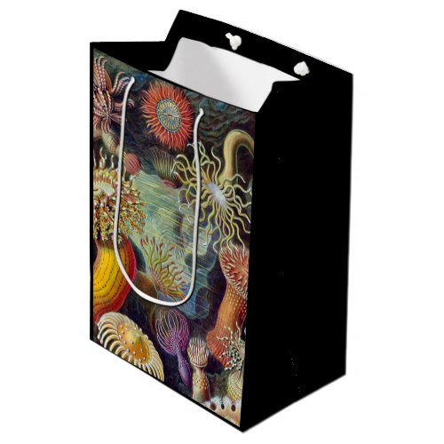 Sea Anemone Scientific Nature Ocean Medium Gift Bag