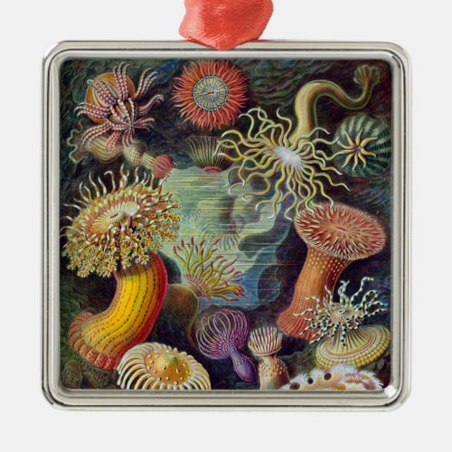 Sea Anemone Scientific Nature Ocean Metal Ornament