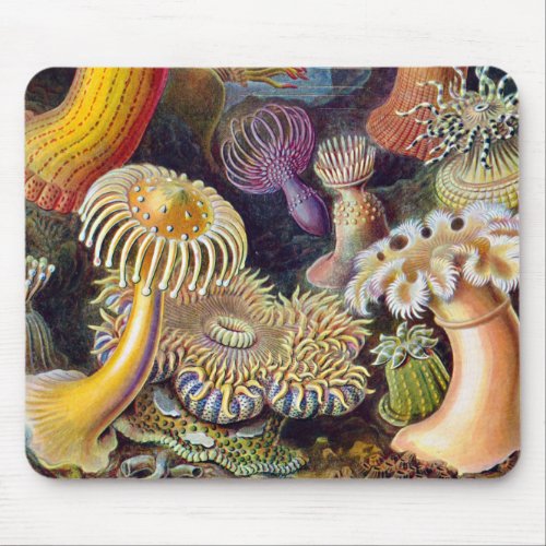 Sea Anemone Scientific Nature Ocean Mouse Pad