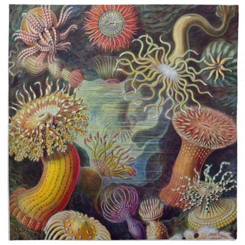 Sea Anemone Scientific Nature Ocean Napkin
