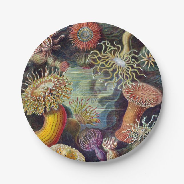 Sea Anemone Scientific Nature Ocean Paper Plates (Front)