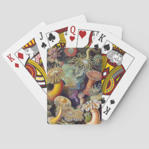 Sea Anemone Scientific Nature Ocean Poker Cards
