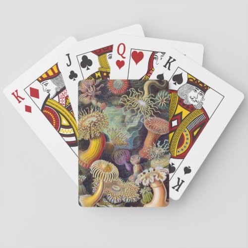 Sea Anemone Scientific Nature Ocean Poker Cards