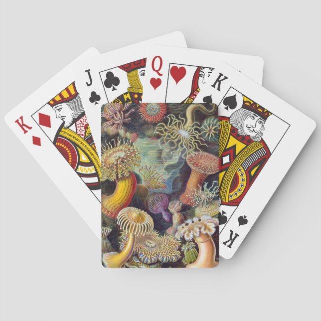 Sea Anemone Scientific Nature Ocean Poker Cards (Back)