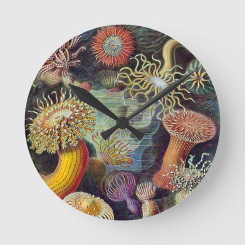 Sea Anemone Scientific Nature Ocean Round Clock