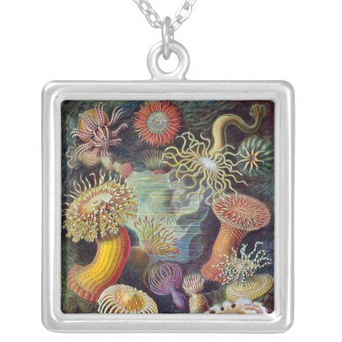 Sea Anemone Scientific Nature Ocean Silver Plated Necklace