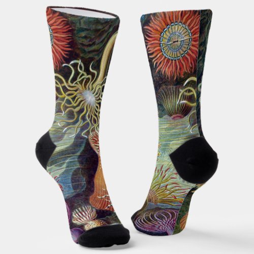 Sea Anemone Scientific Nature Ocean Socks