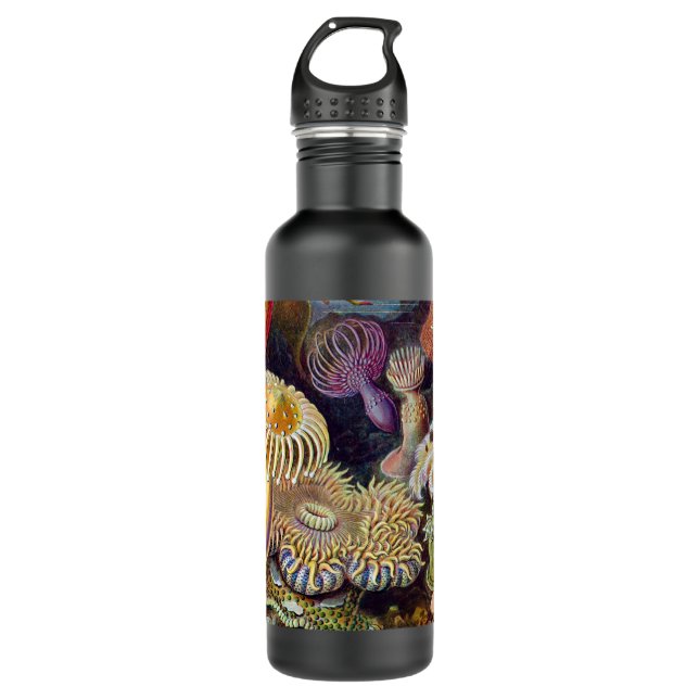 Sea Anemone Scientific Nature Ocean Stainless Steel Water Bottle (Front)