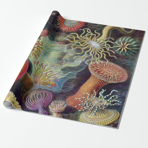 Sea Anemone Scientific Nature Ocean Wrapping Paper