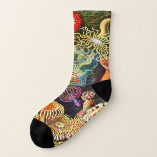 Sea anemone   socks