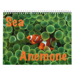 Sea Anemone Wall Calendar