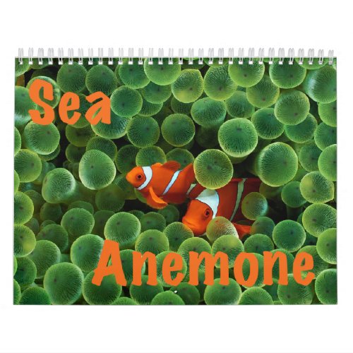Sea Anemone Wall Calendar