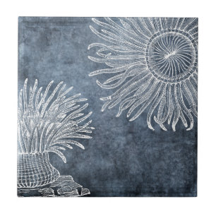 Sea Anemone Watercolor Twilight Ocean Blue White Ceramic Tile