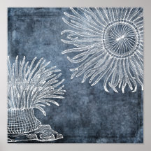 Sea Anemone Watercolor Twilight Ocean Blue White