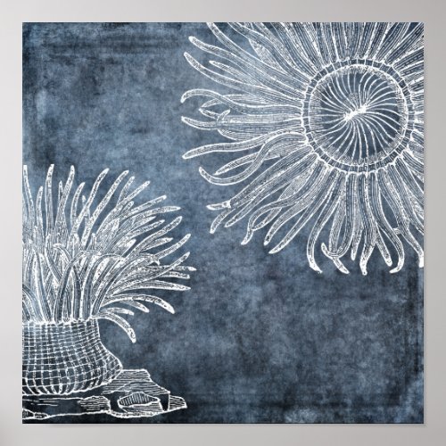 Sea Anemone Watercolor Twilight Ocean Blue White Poster
