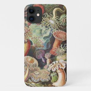 Sea Anemones, Actiniae Seeanemonen Ernst Haeckel iPhone 11 Case