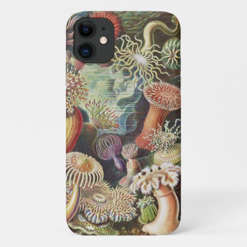 Sea Anemones Actiniae Seeanemonen Ernst Haeckel iPhone 11 Case