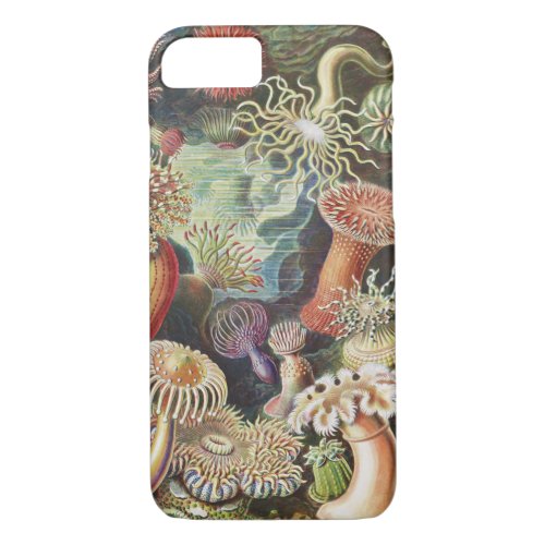 Sea Anemones Actiniae Seeanemonen Ernst Haeckel iPhone 87 Case