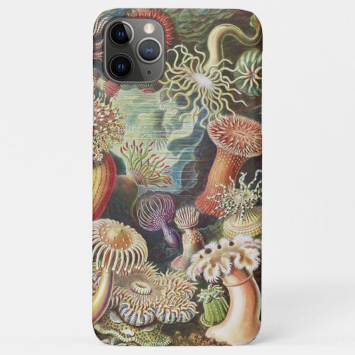 Sea Anemones Actiniae Seeanemonen Ernst Haeckel iPhone 11 Pro Max Case
