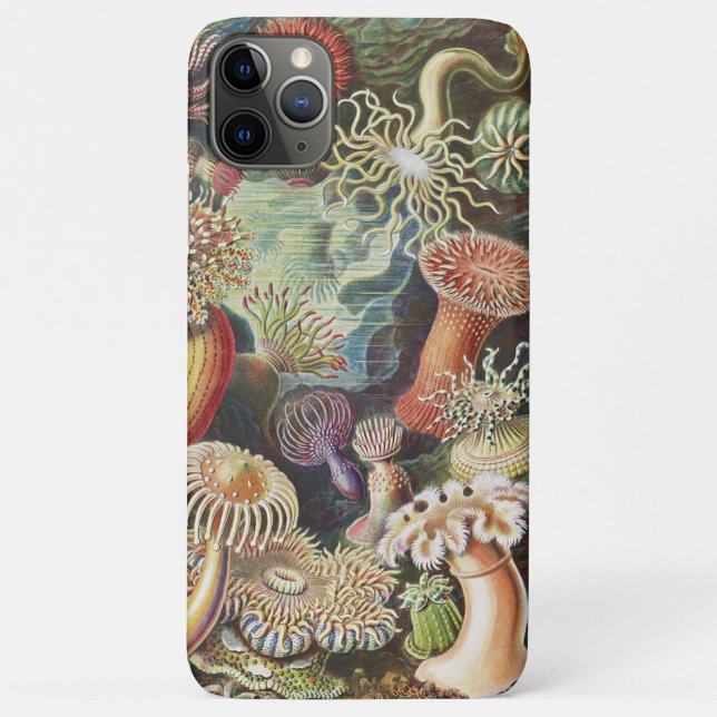 Sea Anemones, Actiniae Seeanemonen Ernst Haeckel Case-Mate iPhone Case (Back)