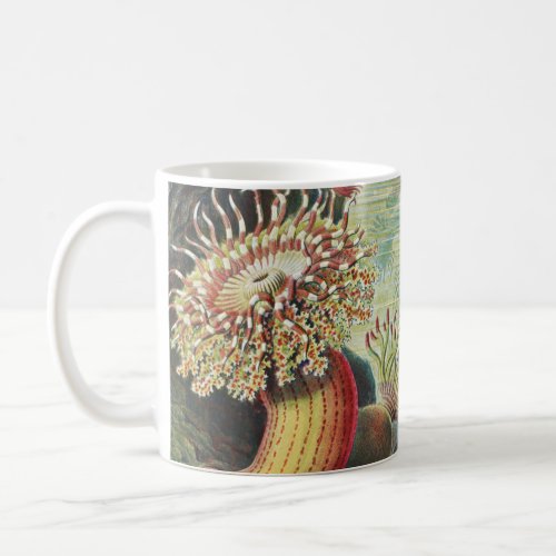 Sea Anemones Actiniae Seeanemonen Ernst Haeckel Coffee Mug