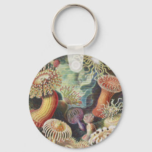 Sea Anemones, Actiniae Seeanemonen Ernst Haeckel Keychain