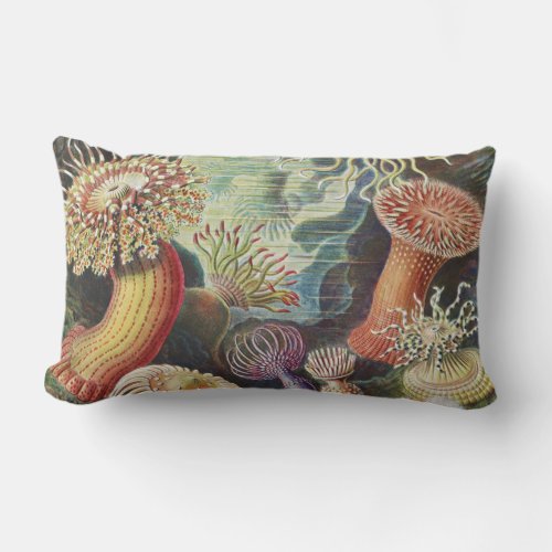 Sea Anemones Actiniae Seeanemonen Ernst Haeckel Lumbar Pillow