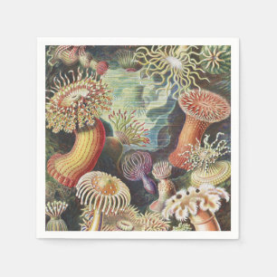Sea Anemones, Actiniae Seeanemonen Ernst Haeckel Napkins