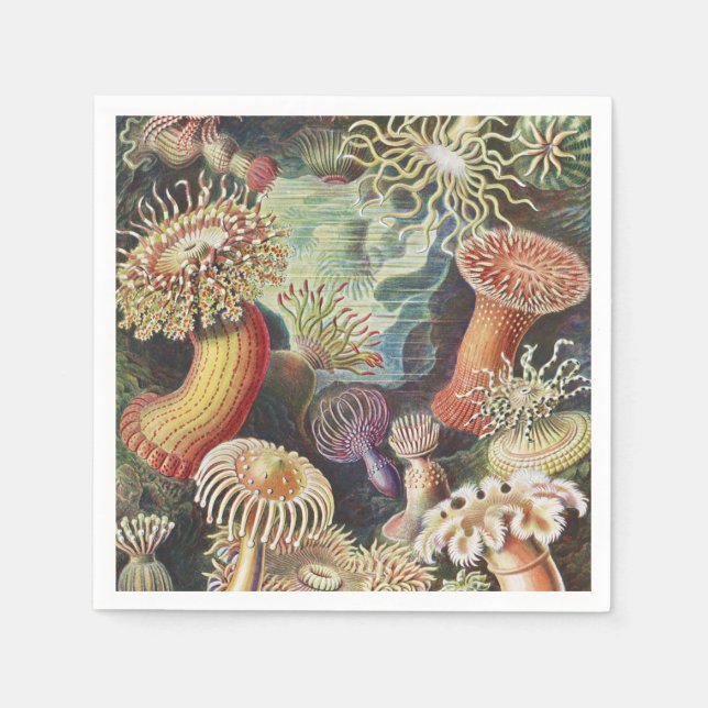 Sea Anemones, Actiniae Seeanemonen Ernst Haeckel Napkins (Front)