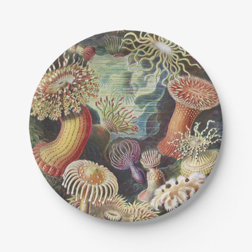 Sea Anemones Actiniae Seeanemonen Ernst Haeckel Paper Plates