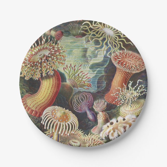 Sea Anemones, Actiniae Seeanemonen Ernst Haeckel Paper Plates (Front)