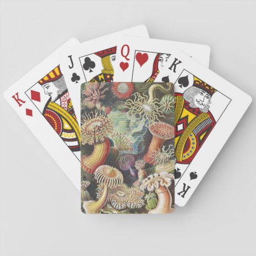 Sea Anemones Actiniae Seeanemonen Ernst Haeckel Poker Cards
